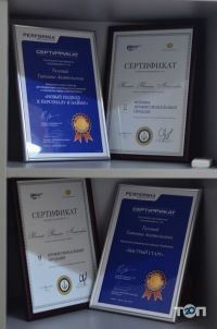 отзывы о Lingua Time фото