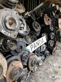 Panda Львів фото