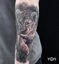 Тату салони Nosorig Tattoo Odessa фото