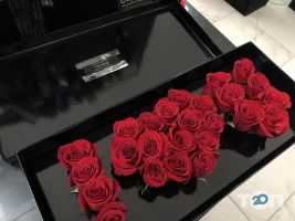 The Rose отзывы фото