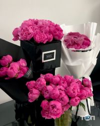 THE ROSE фото