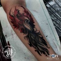 Manuscript відгуки фото