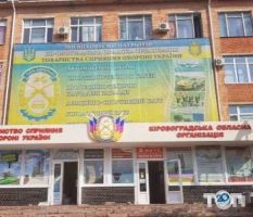 Автошколи ДОСААФ фото