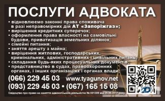 Адвокат Анна Тягунова фото