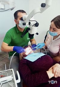 відгуки про Династія фото