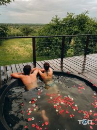 відгуки про Дикороси фото