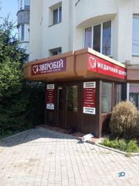Зверобой, медицинские справки фото