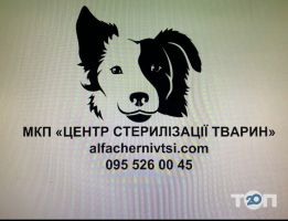 Центр стерилізації тварин фото