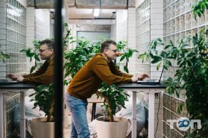 Коворкінг РУУМ відгуки фото