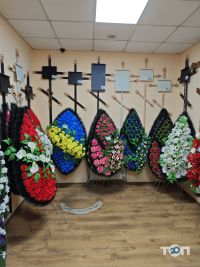 Фенікс відгуки фото