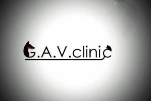 GAVclinic, ветеринарна клініка фото