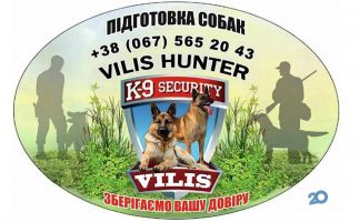 отзывы о Вилис фото