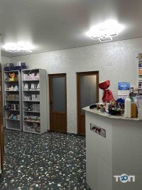 Червоний Лис відгуки фото