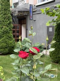 Файна Київ фото