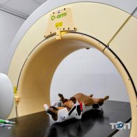 Vet House Вінниця фото