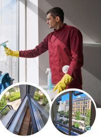 відгуки про Світ без плям фото