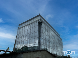 компанія Global Auto Logistic фото