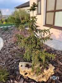 відгуки про EuroСАД фото