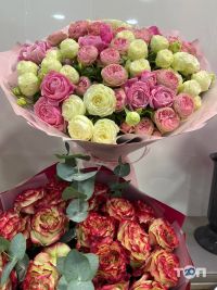 відгуки про Wow фото