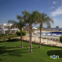 отзывы о ALLY фото