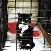 відгуки про Alvet фото