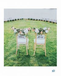 відгуки про Аморе фото