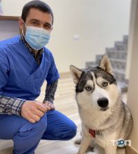 Andr-Vet, ветеринарна клініка фото