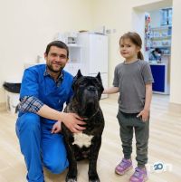 Andr-Vet Київ фото