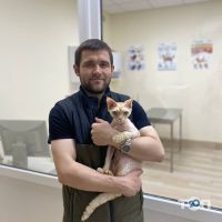 Andr-Vet відгуки фото