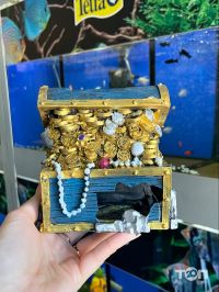 Зоомагазини і послуги для тварин Аква Плюс фото