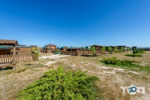 відгуки про Safari Park фото