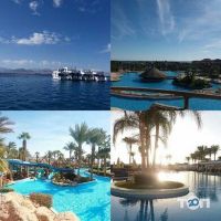 Argentum Travel Одеса фото