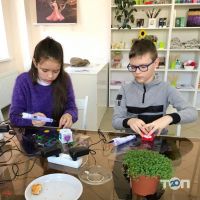 Wings отзывы фото