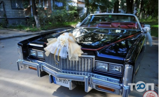 відгуки про AvtoSvadba фото