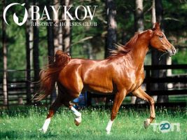 Baykov Resort&Horses Club Тернополь фото
