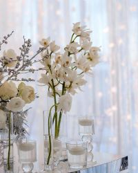 отзывы о Bellissima фото