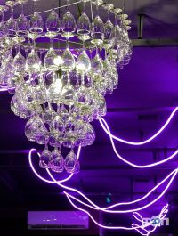 відгуки про Білий Налив фото