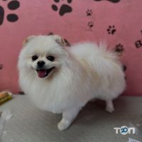 Budka Кривий Ріг фото