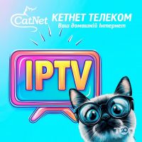 відгуки про Кетнет телеком фото