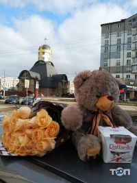 Роза ІФ Івано-Франківськ фото