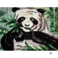 компания Чистюля, химчистка фото