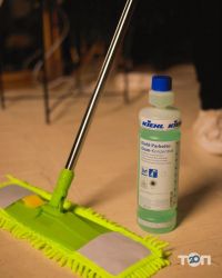 Cleaning Cat Кропивницький фото