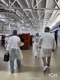 отзывы о Олис-Групп фото