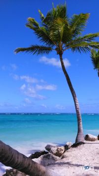 відгуки про Damax Travel фото