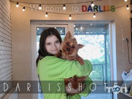 Darliss відгуки фото