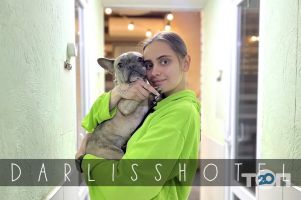 Darliss Харків фото