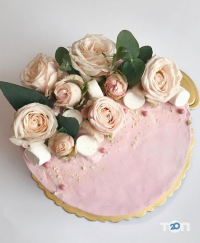 відгуки про Dashtarta фото