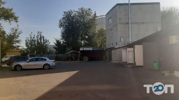 Vivaavtosklo відгуки фото