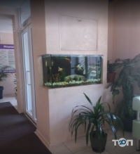 отзывы о Диасервис фото