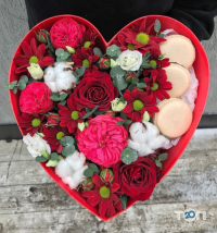 отзывы о Dream Room фото